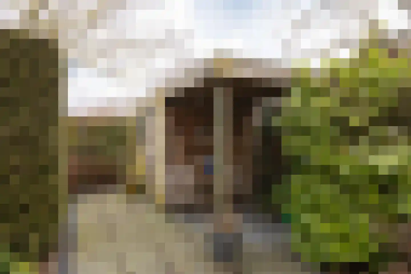 Vliestroom 17 Sneek thumbnail 42