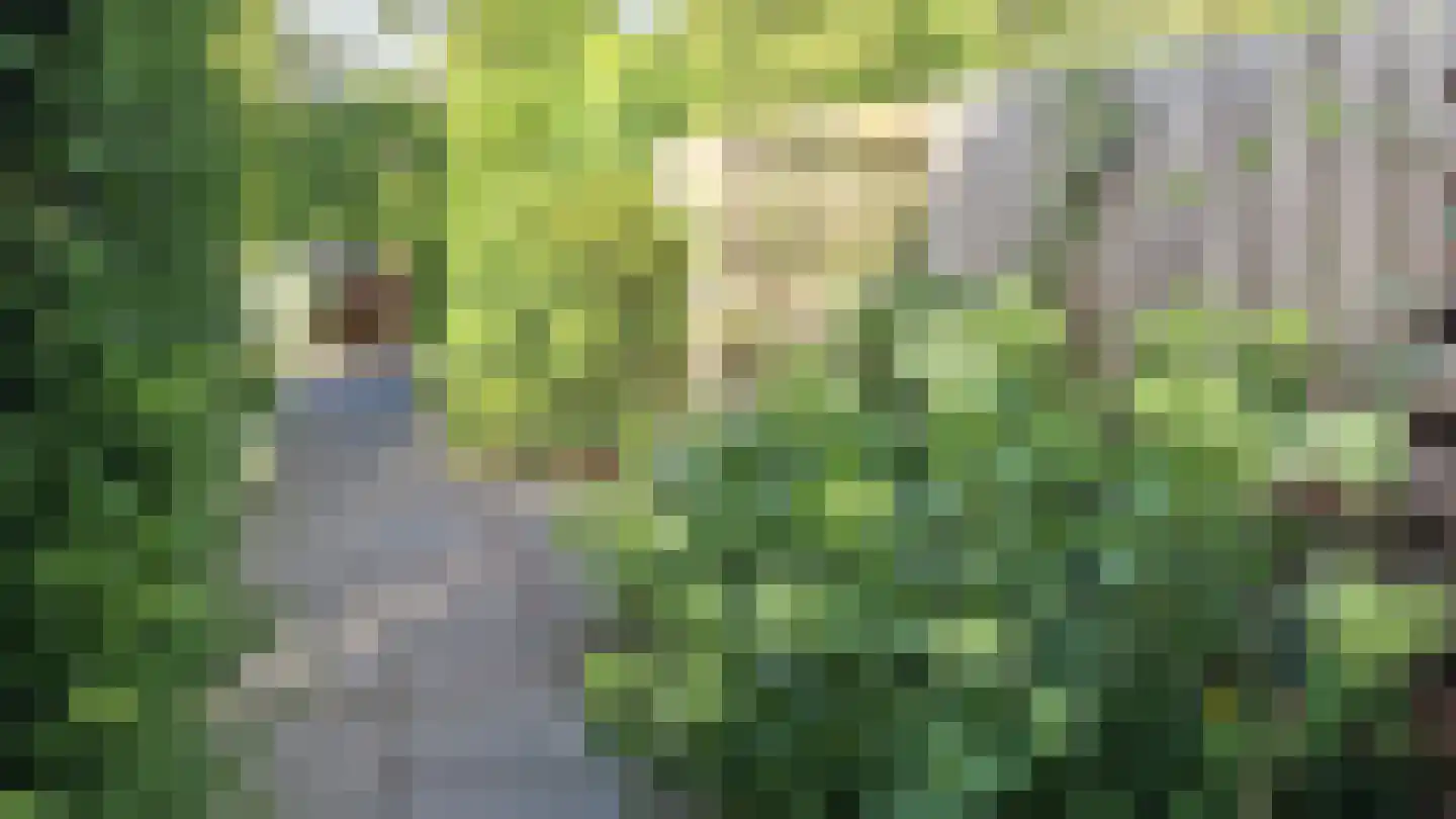 Vliestroom 17 Sneek thumbnail 45