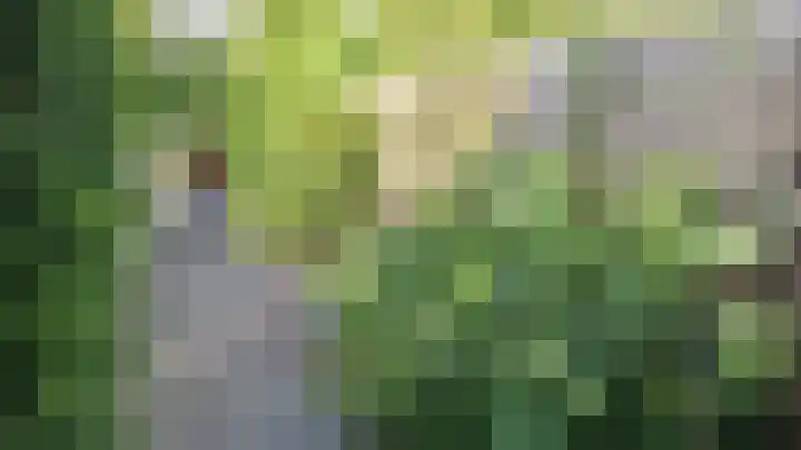 Vliestroom 17 Sneek thumbnail 45