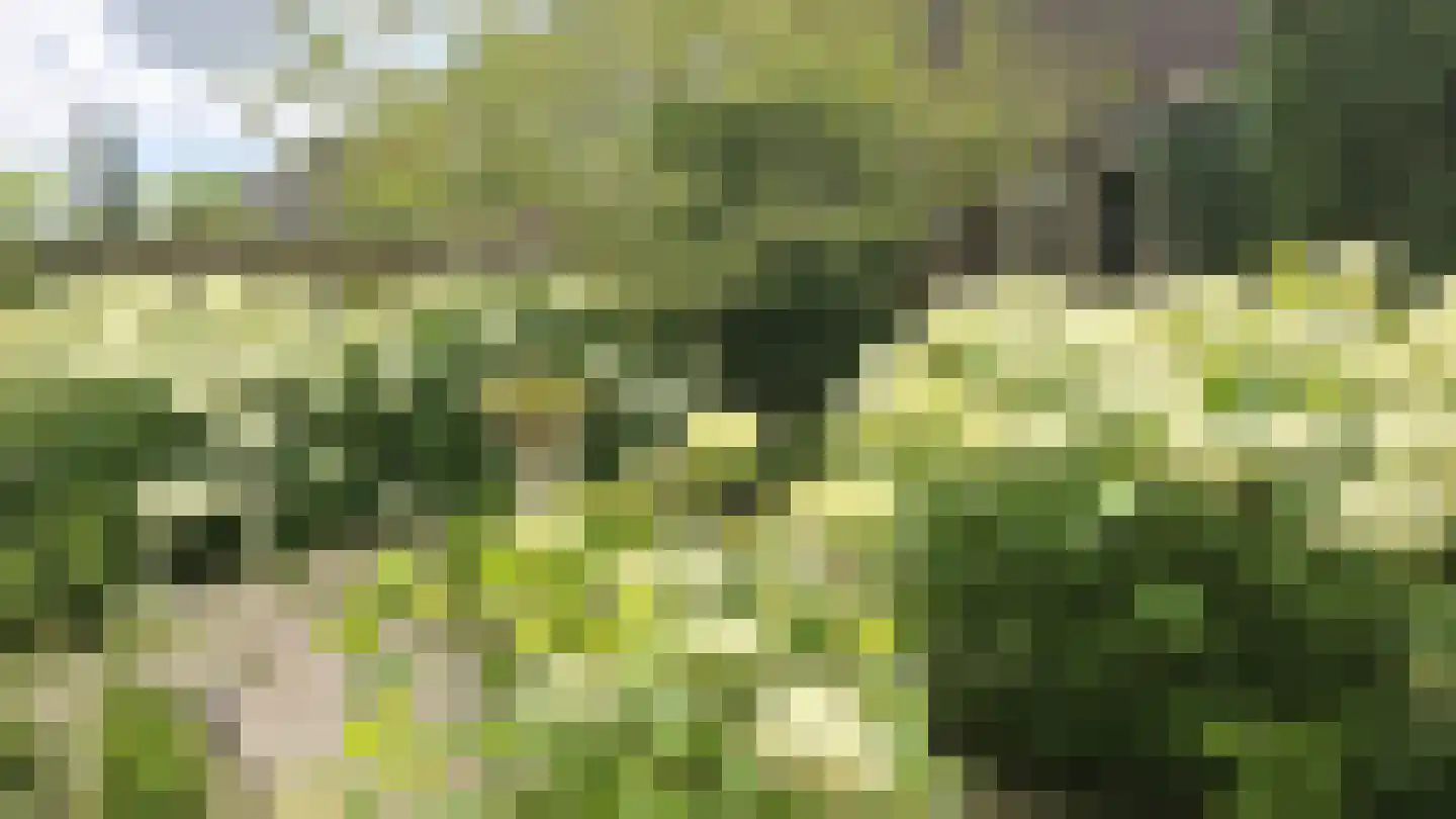Vliestroom 17 Sneek thumbnail 46