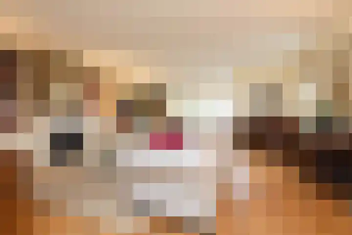 Vliestroom 17 Sneek thumbnail 5