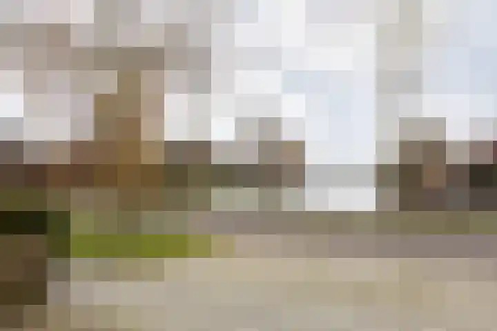Vliestroom 17 Sneek thumbnail 51