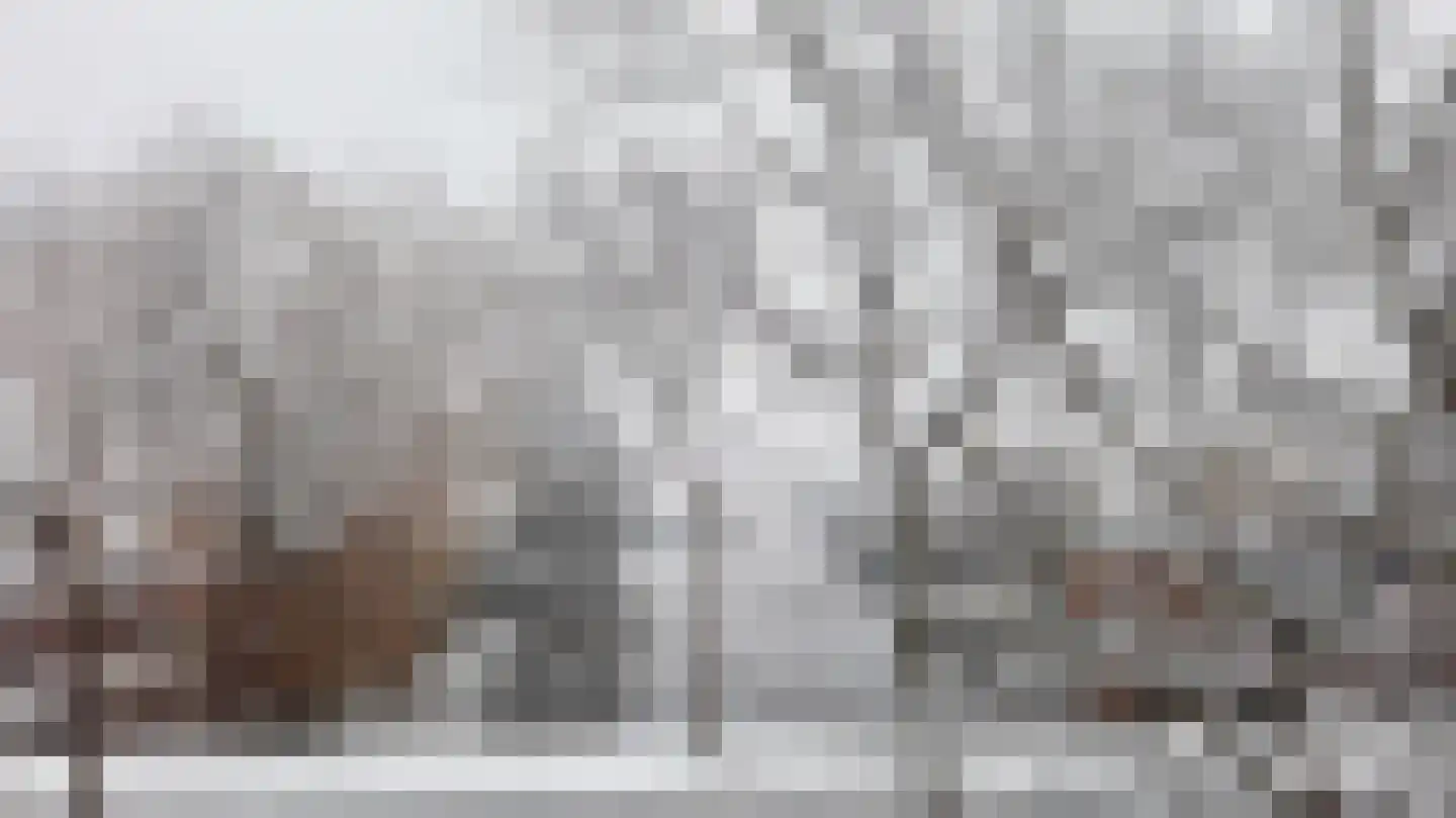 Vliestroom 17 Sneek thumbnail 54