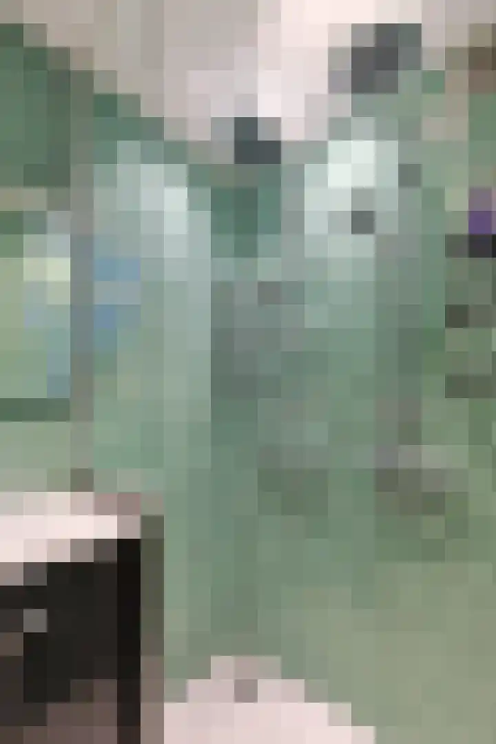 Vliestroom 178 Alphen aan den Rijn thumbnail 35