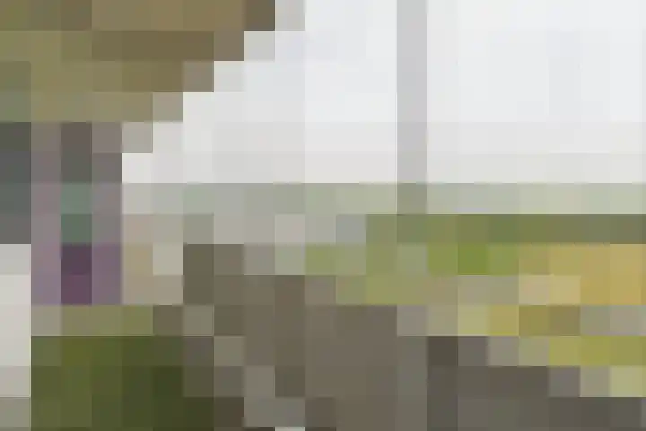 Vliestroom 178 Alphen aan den Rijn thumbnail 37