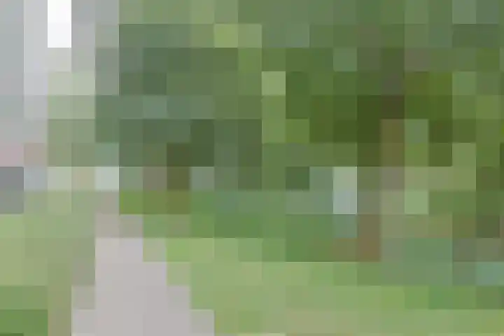 Vliestroom 178 Alphen aan den Rijn thumbnail 41