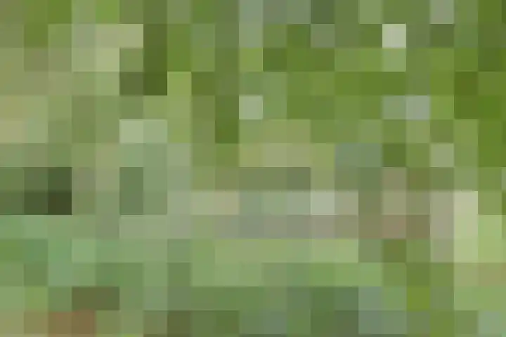 Vliestroom 178 Alphen aan den Rijn thumbnail 43