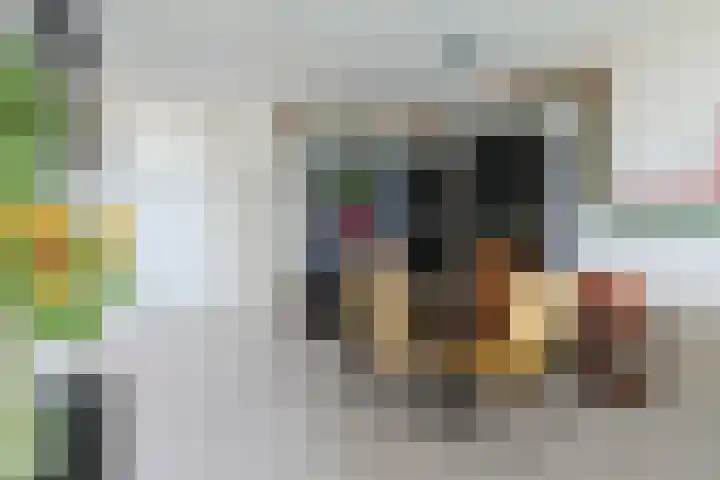 Vliestroom 178 Alphen aan den Rijn thumbnail 9