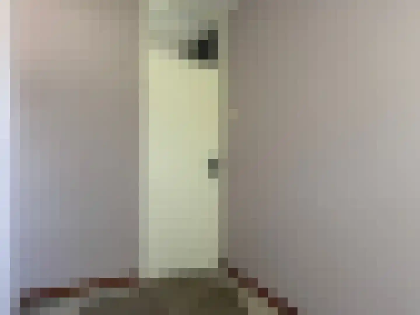 Vliestroom 19 Alphen aan den Rijn thumbnail 11