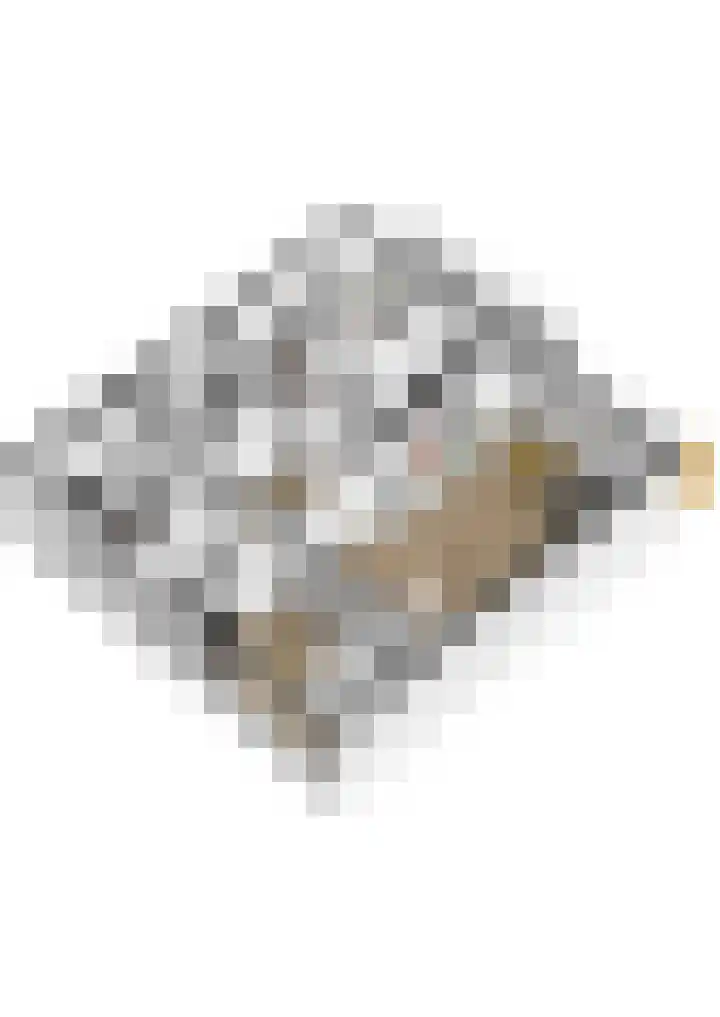 Vliestroom 197 Alphen aan den Rijn thumbnail 36