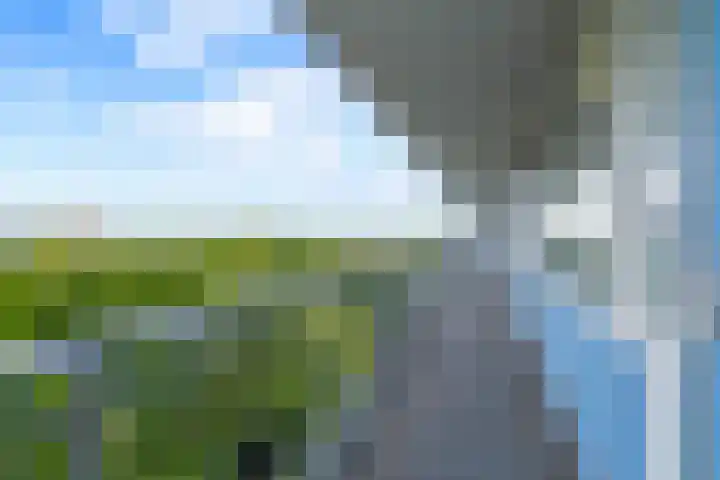 Vliestroom 197 Alphen aan den Rijn thumbnail 6