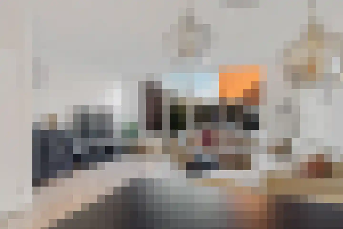 Vliestroom 20 Alkmaar thumbnail 12