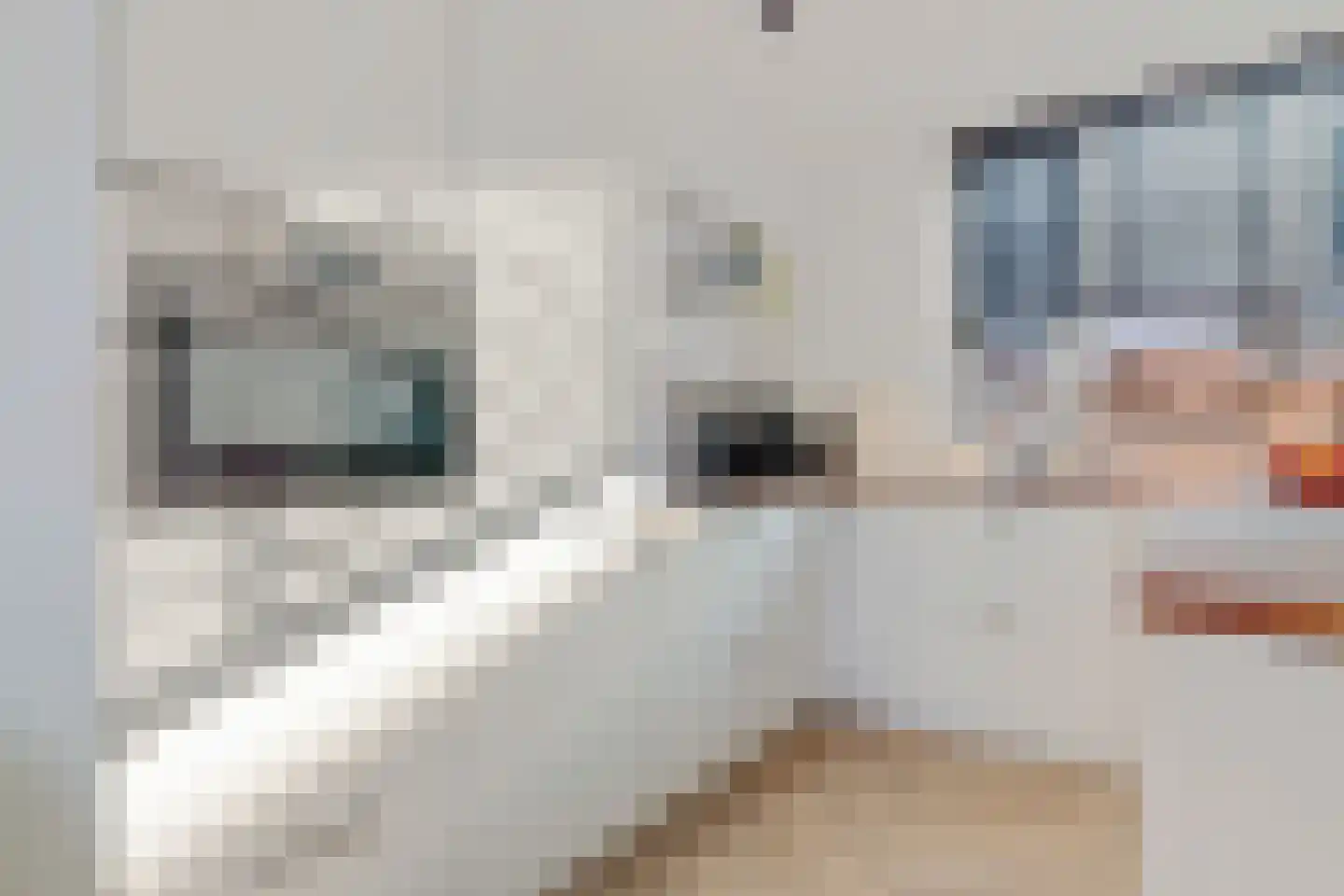 Vliestroom 20 Alkmaar thumbnail 13