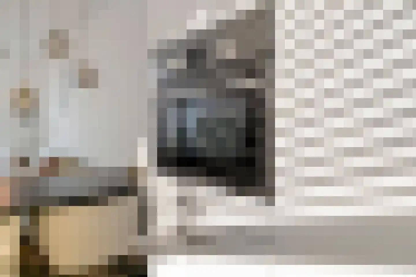 Vliestroom 20 Alkmaar thumbnail 17
