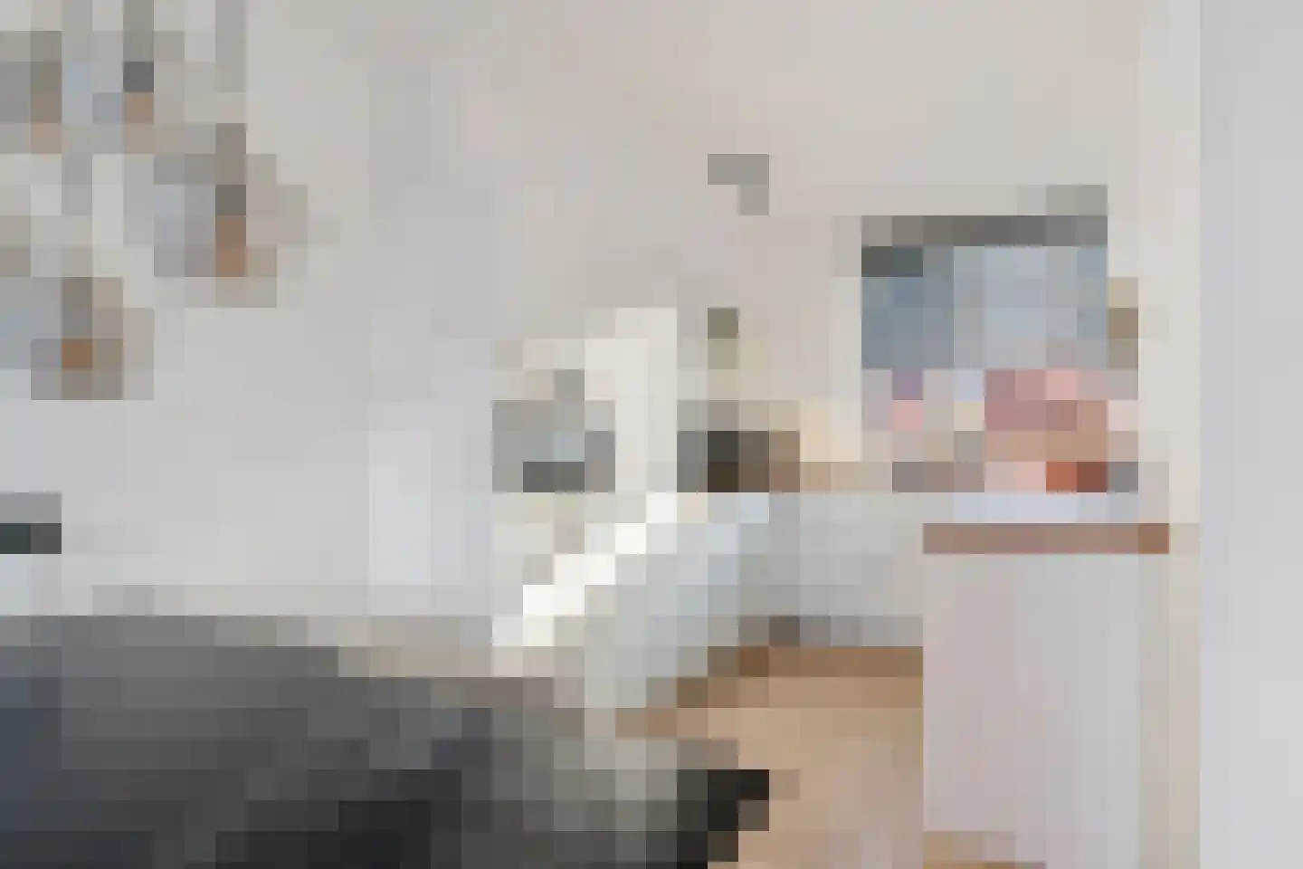 Vliestroom 20 Alkmaar thumbnail 18