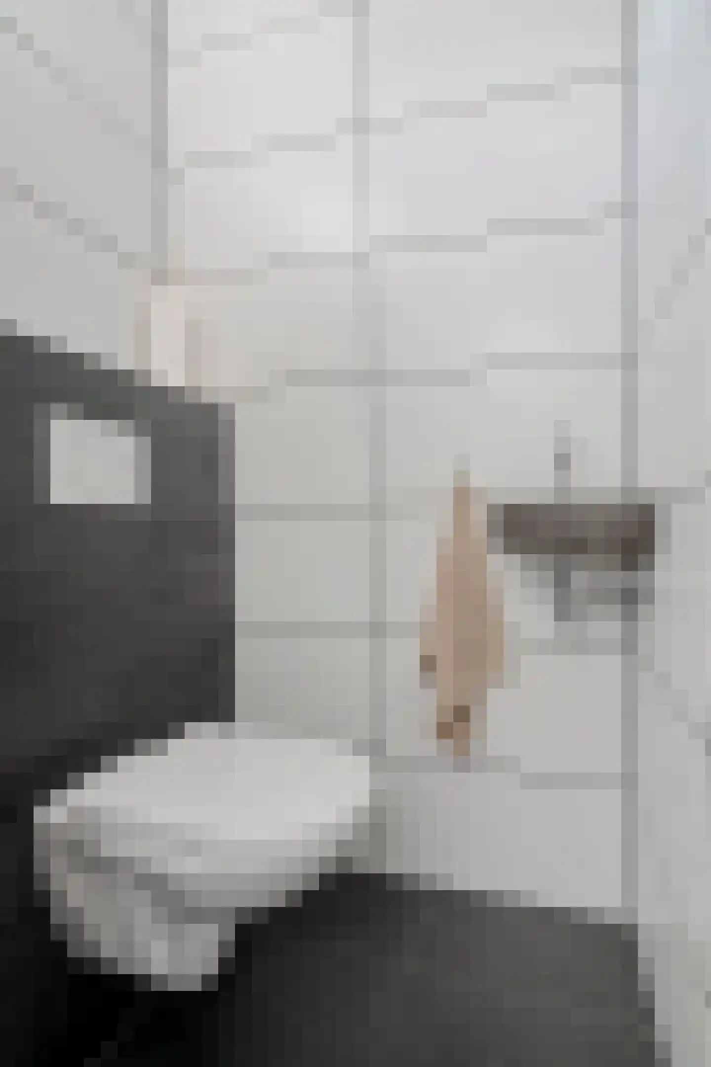 Vliestroom 20 Alkmaar thumbnail 5