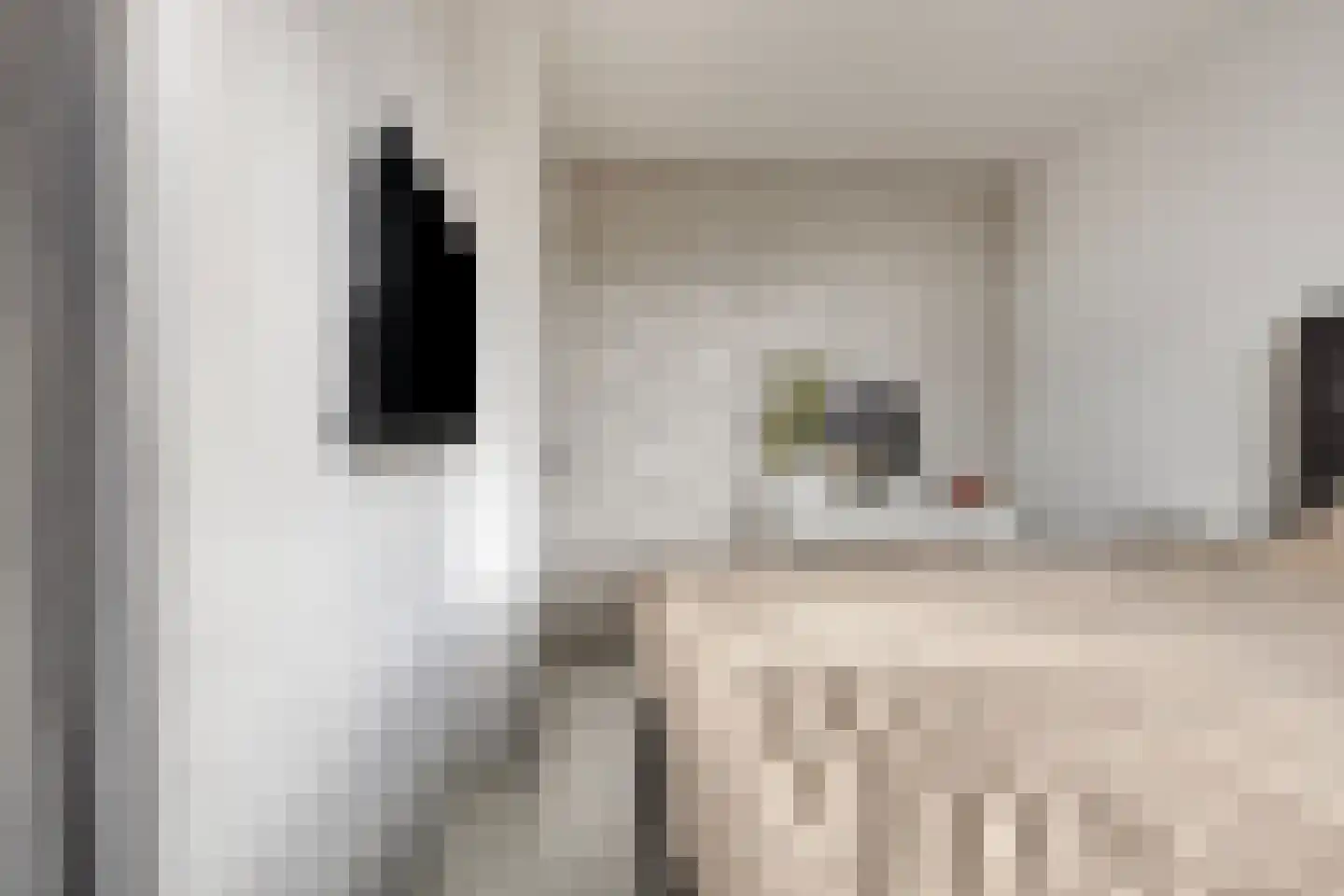 Vliestroom 21 Alphen aan den Rijn thumbnail 19