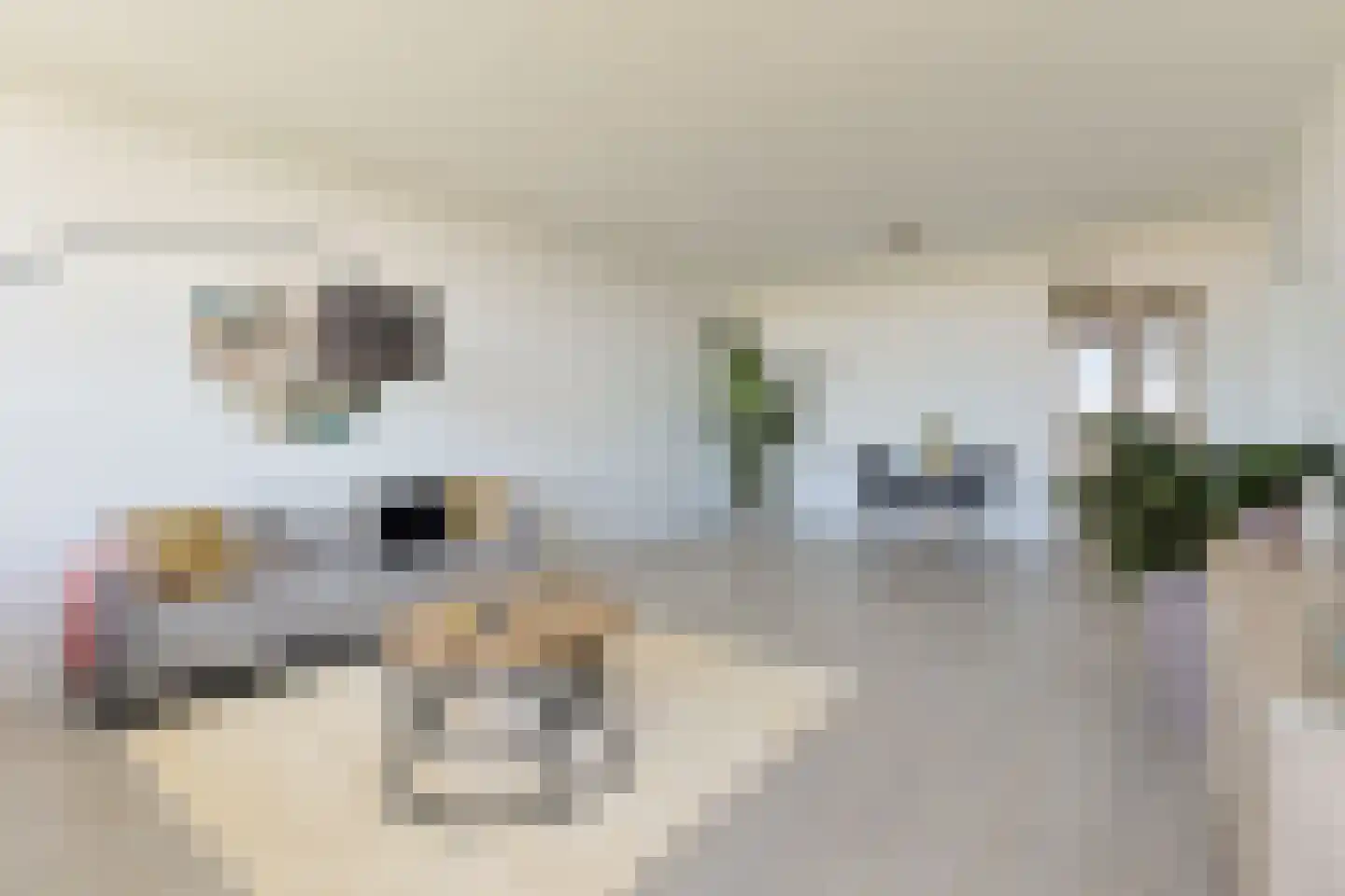 Vliestroom 217 Alphen aan den Rijn thumbnail 12