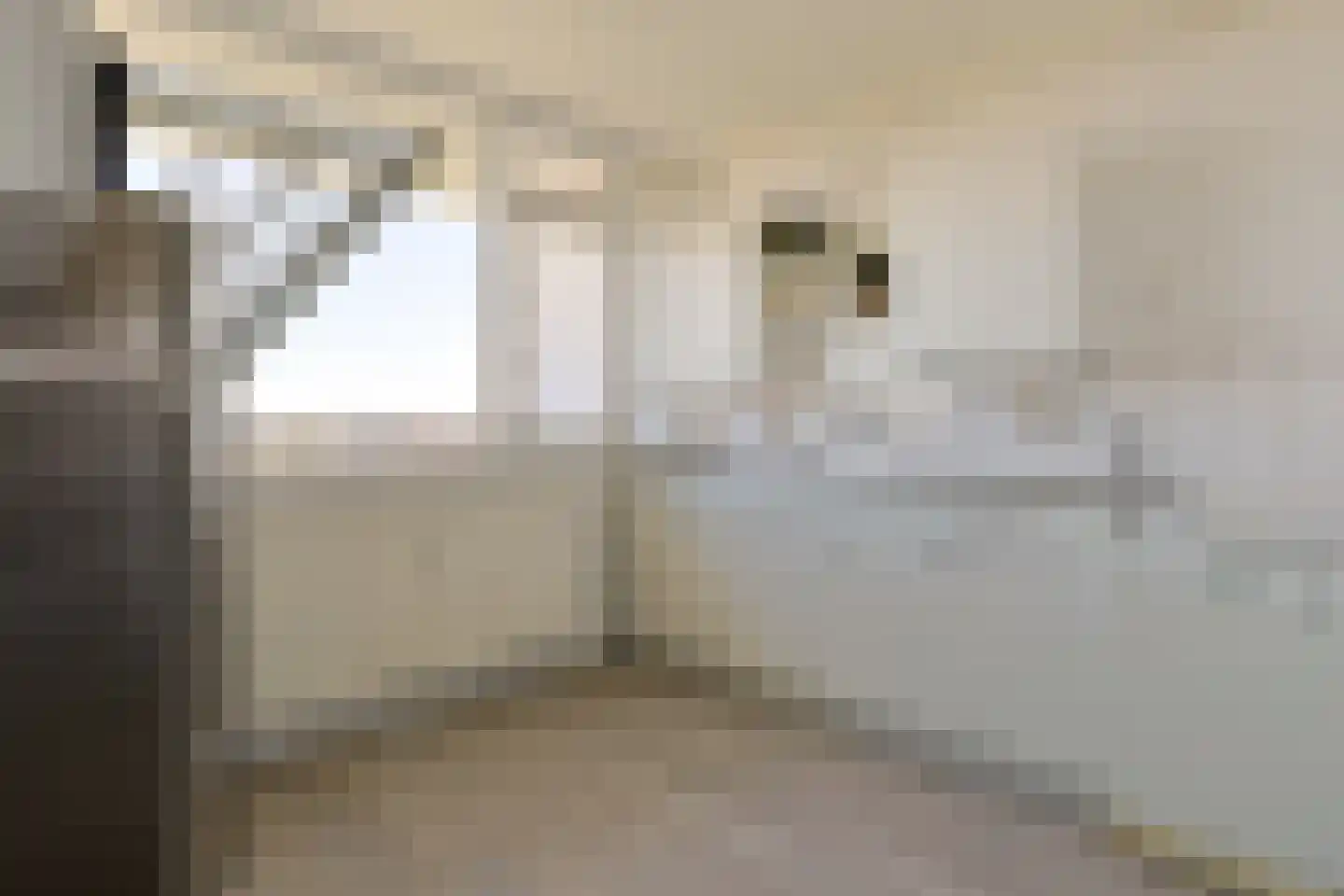 Vliestroom 217 Alphen aan den Rijn thumbnail 15
