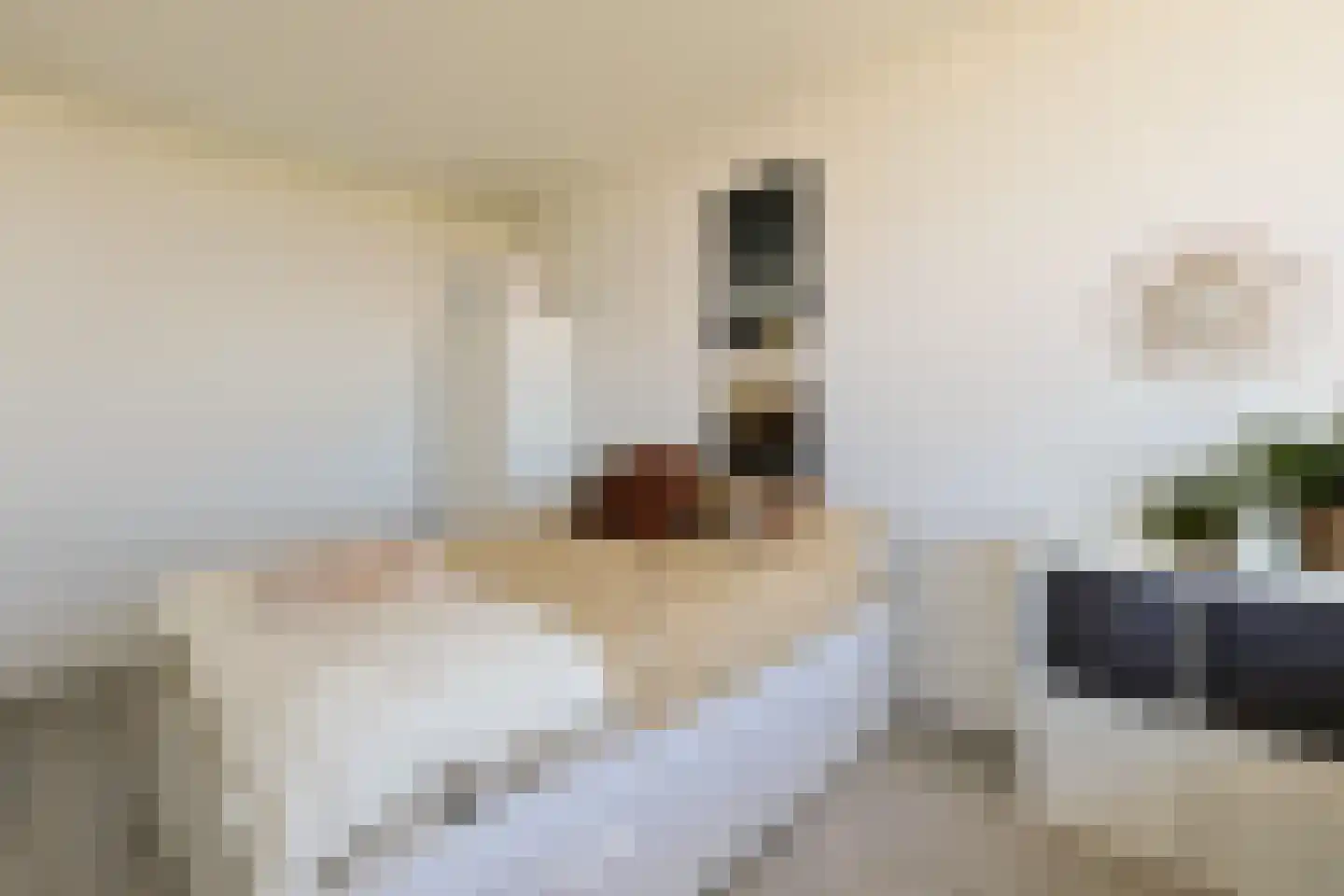 Vliestroom 217 Alphen aan den Rijn thumbnail 21