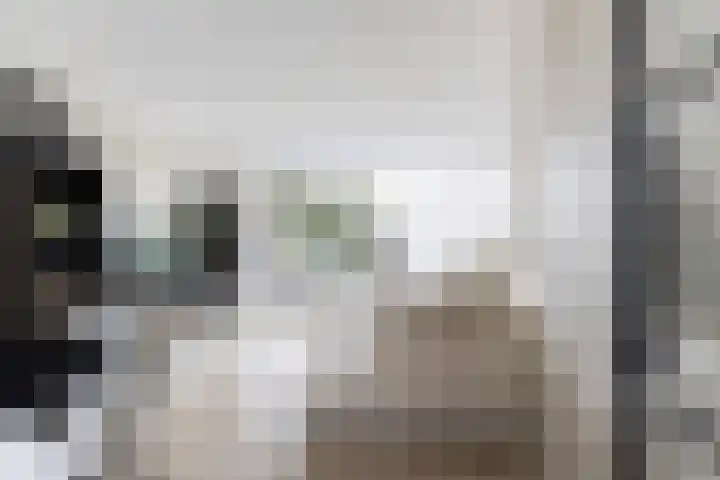 Vliestroom 241 Alphen aan den Rijn thumbnail 15