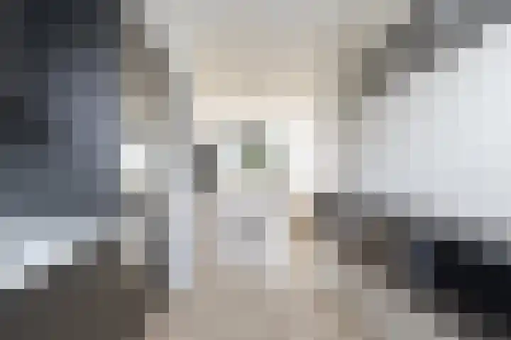 Vliestroom 241 Alphen aan den Rijn thumbnail 23