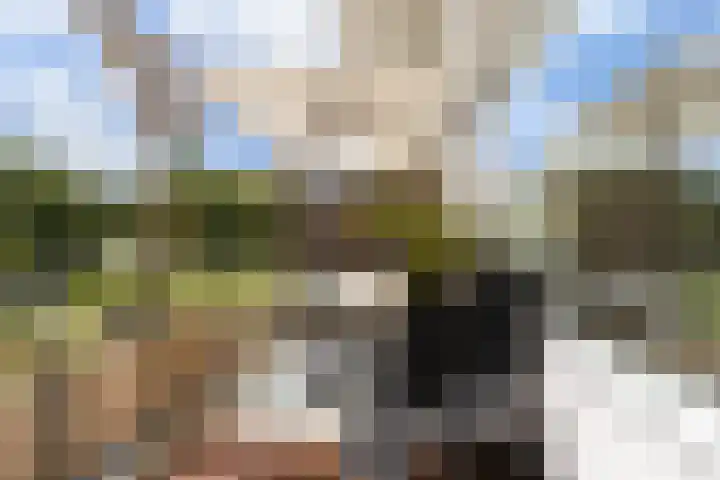 Vliestroom 241 Alphen aan den Rijn foto 3