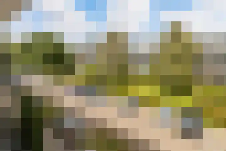 Vliestroom 241 Alphen aan den Rijn thumbnail 34