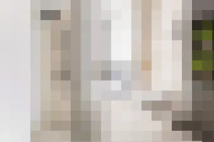 Vliestroom 241 Alphen aan den Rijn thumbnail 40