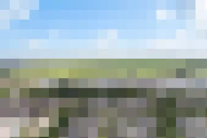 Vliestroom 241 Alphen aan den Rijn thumbnail 5