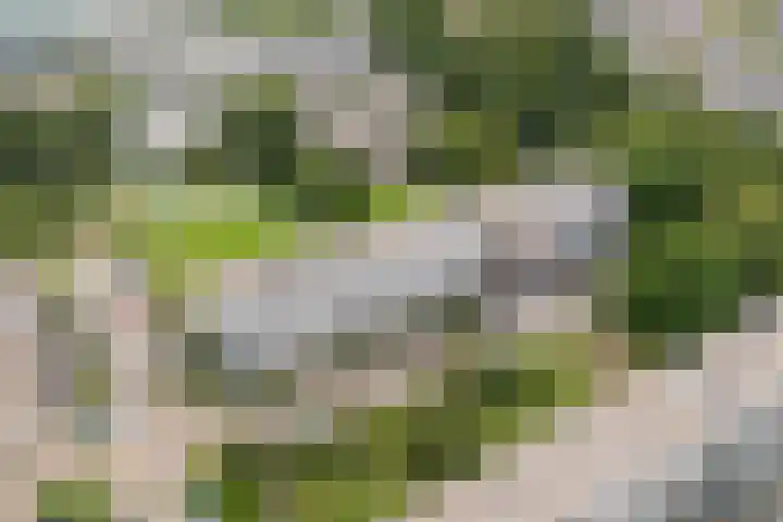 Vliestroom 241 Alphen aan den Rijn thumbnail 7