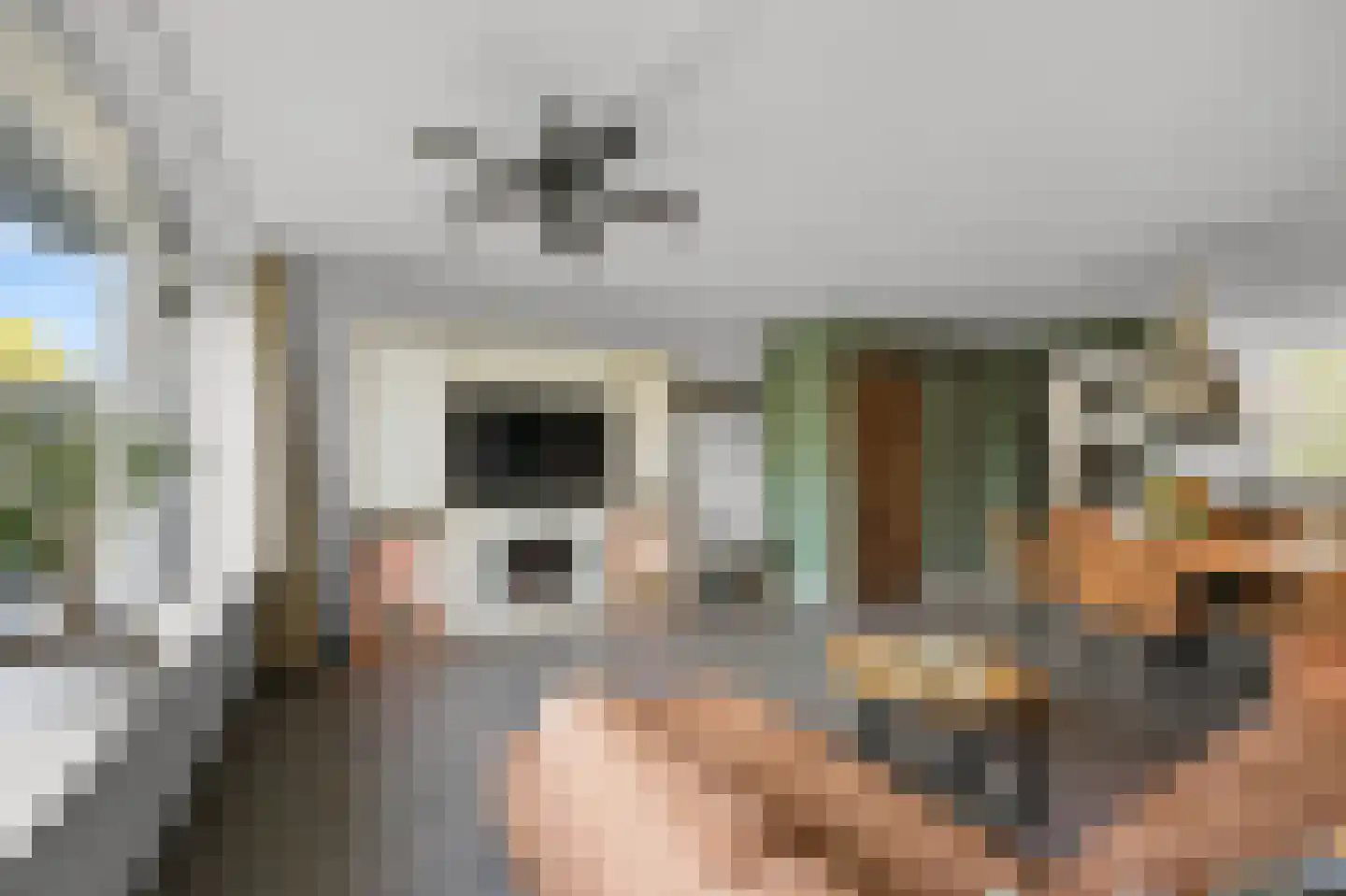Vliestroom 243 Alphen aan den Rijn thumbnail 6