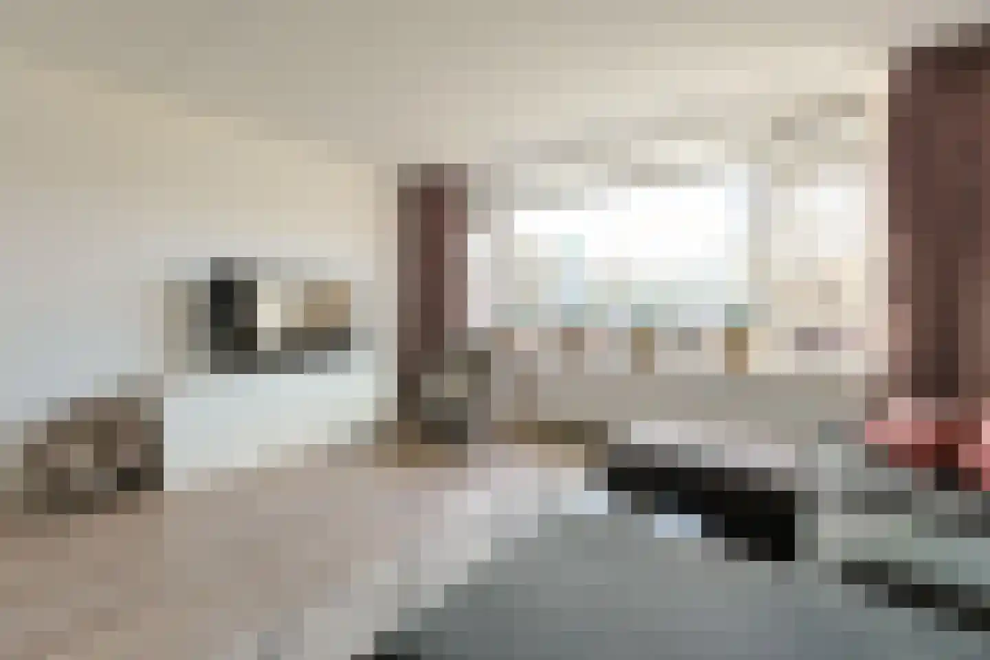 Vliestroom 249 Alphen aan den Rijn thumbnail 11