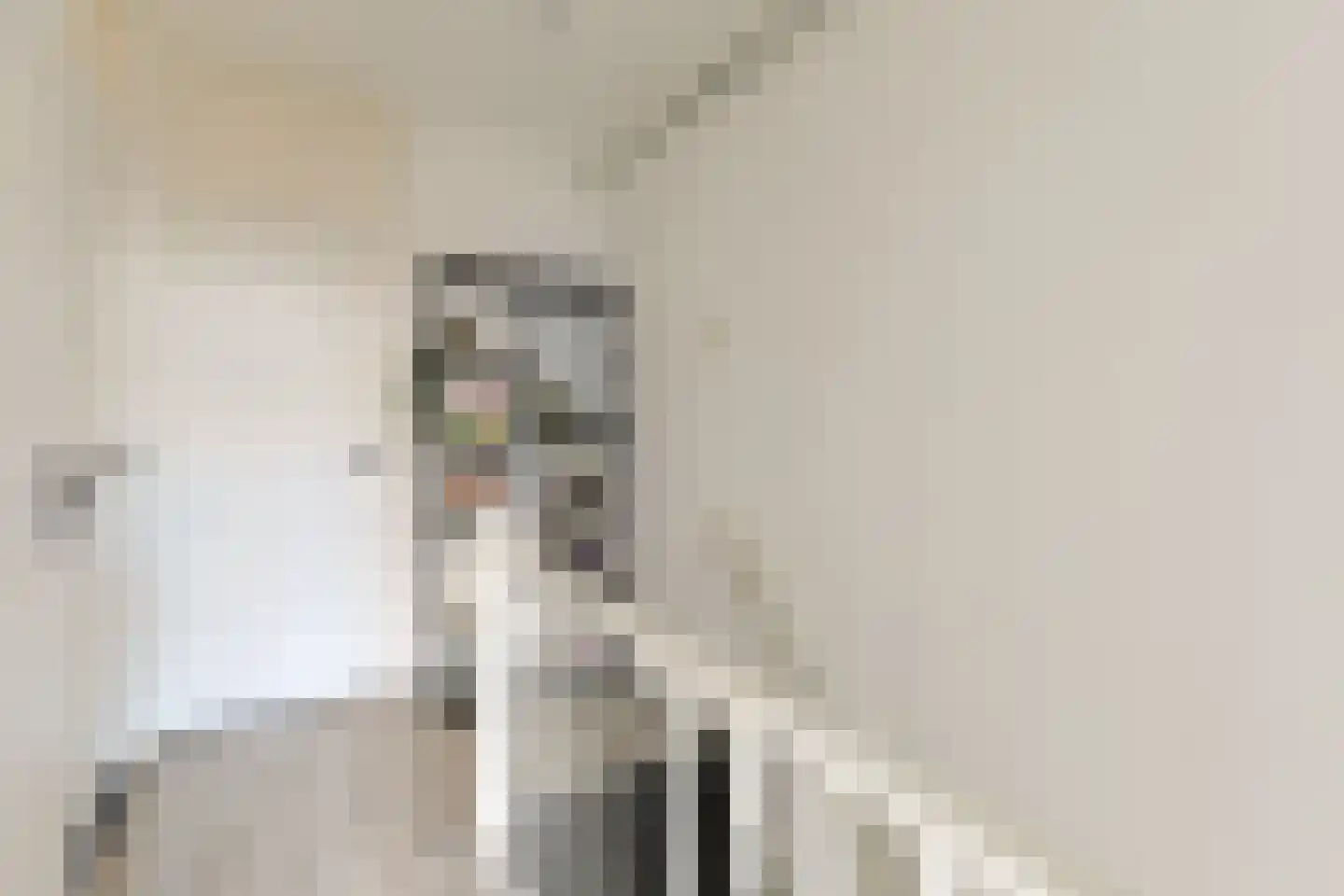 Vliestroom 249 Alphen aan den Rijn thumbnail 19