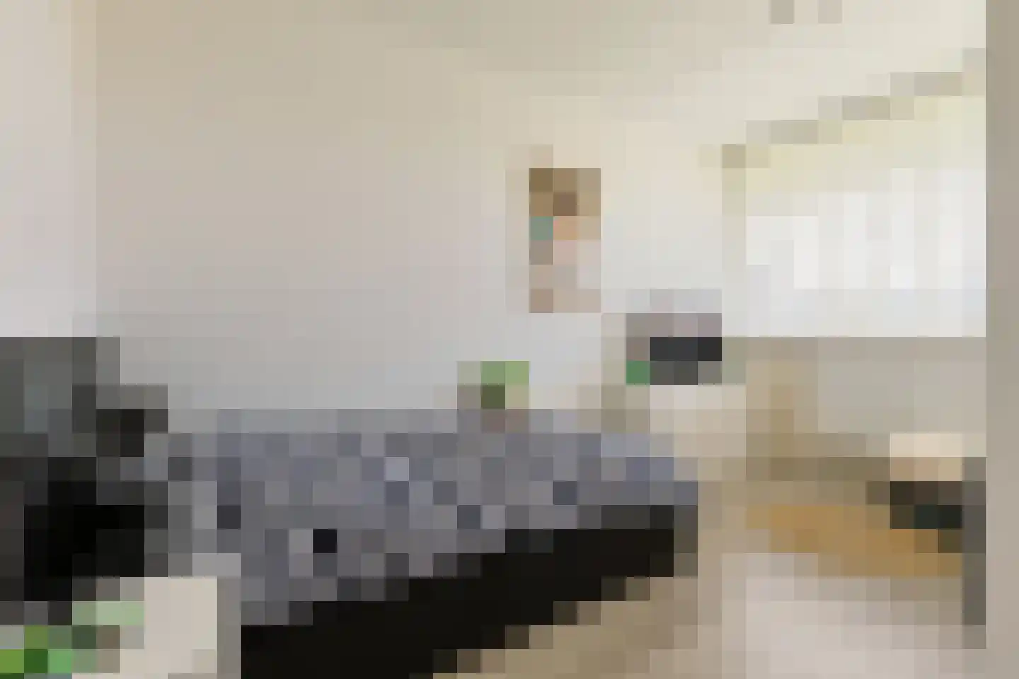 Vliestroom 249 Alphen aan den Rijn thumbnail 20
