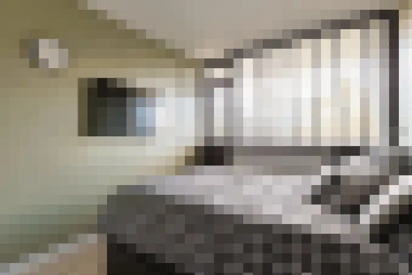 Vliestroom 249 Alphen aan den Rijn thumbnail 26