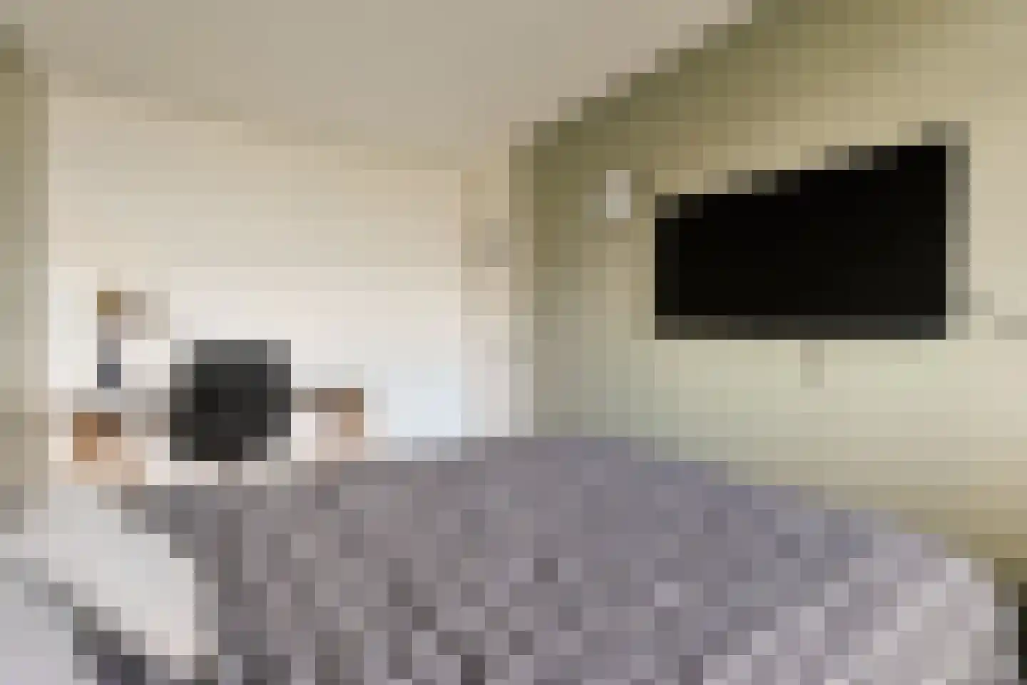 Vliestroom 249 Alphen aan den Rijn thumbnail 28