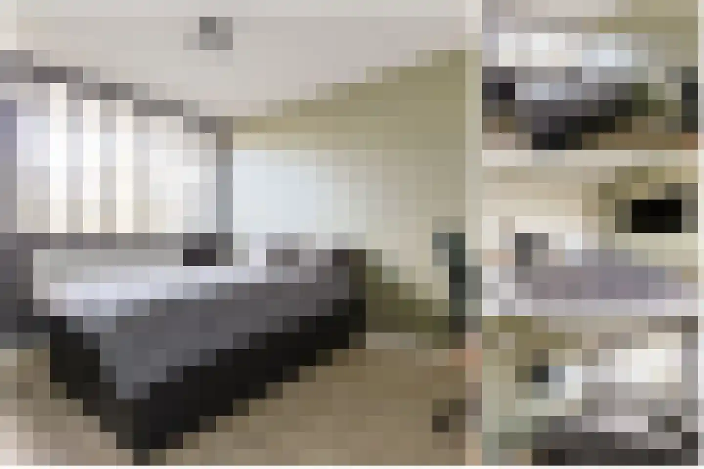 Vliestroom 249 Alphen aan den Rijn thumbnail 29