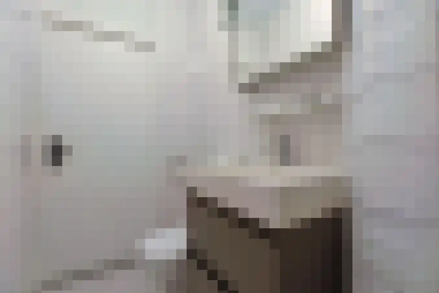 Vliestroom 249 Alphen aan den Rijn thumbnail 38