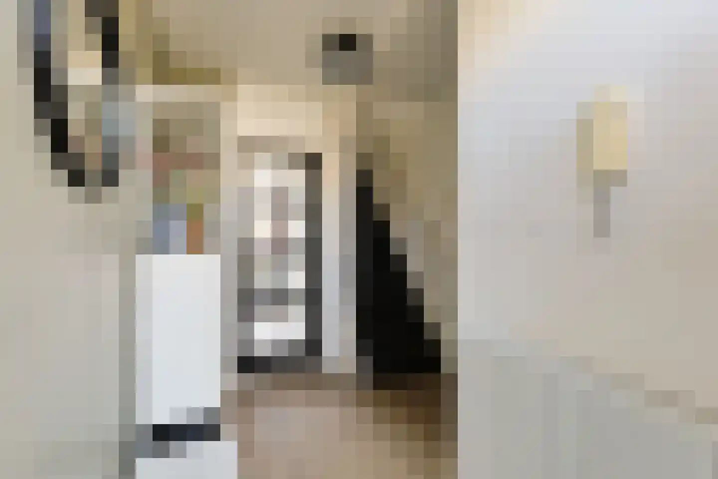 Vliestroom 249 Alphen aan den Rijn thumbnail 7