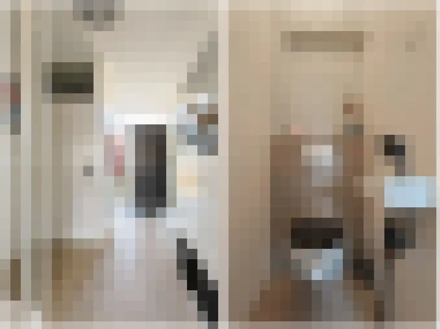Vliestroom 249 Alphen aan den Rijn thumbnail 8