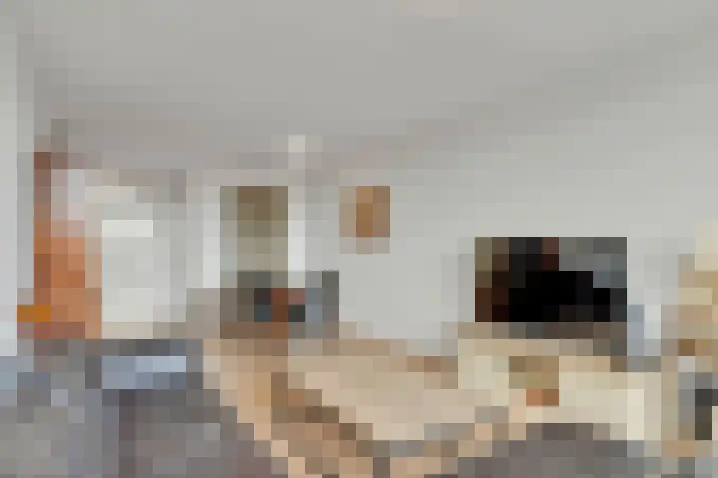 Vliestroom 26 Alphen aan den Rijn foto 3