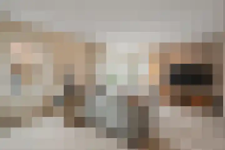 Vliestroom 26 Wieringerwerf thumbnail 11