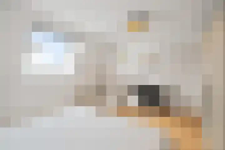 Vliestroom 26 Wieringerwerf thumbnail 20