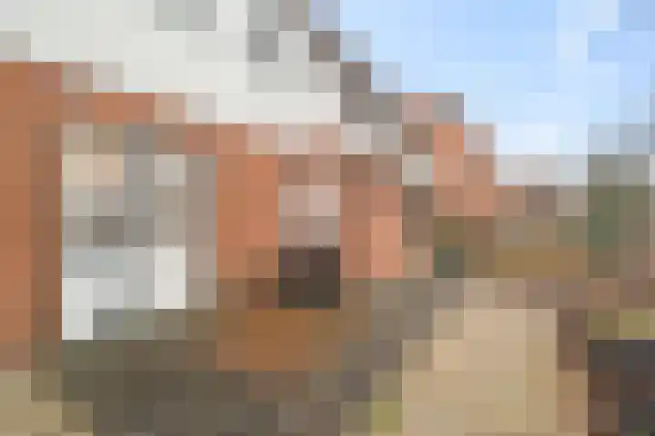 Vliestroom 26 Wieringerwerf thumbnail 26