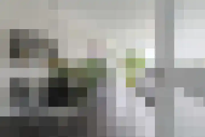 Vliestroom 265 Alphen aan den Rijn thumbnail 11