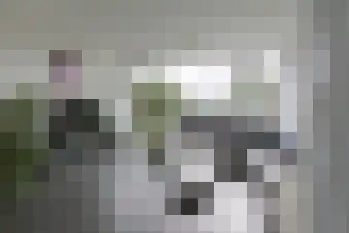 Vliestroom 265 Alphen aan den Rijn thumbnail 13
