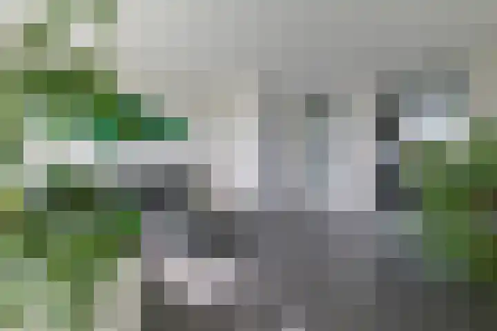 Vliestroom 265 Alphen aan den Rijn thumbnail 14