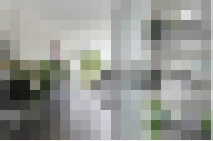 Vliestroom 265 Alphen aan den Rijn thumbnail 17
