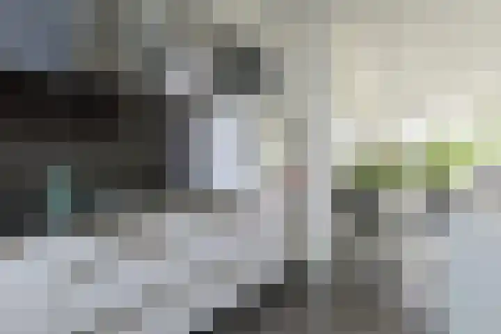 Vliestroom 265 Alphen aan den Rijn thumbnail 20